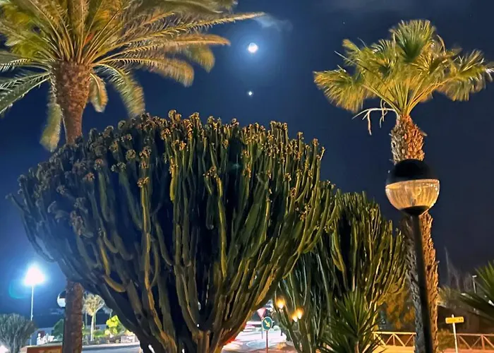 Lägenhet Casa Sofia Corralejo